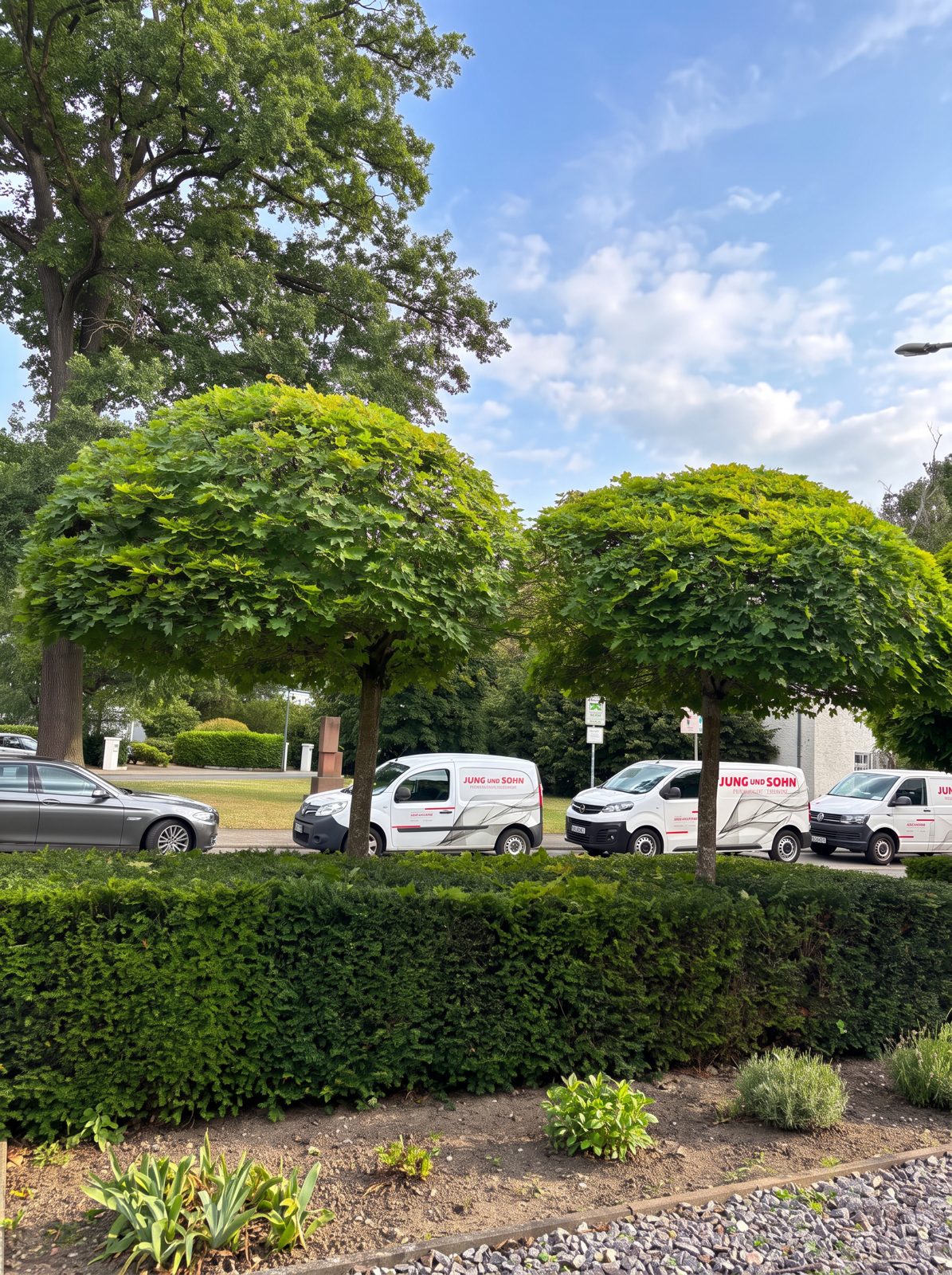Gartenpflege – Beispiel 2